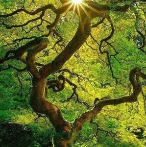 Meet your Posher, Kitty